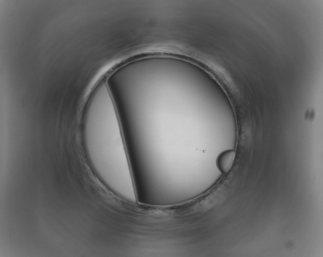 X0000091451224200708161040