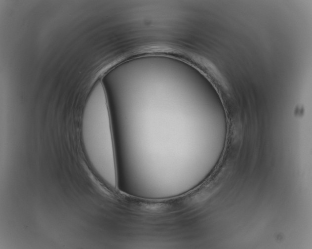 X0000091451225200708161040