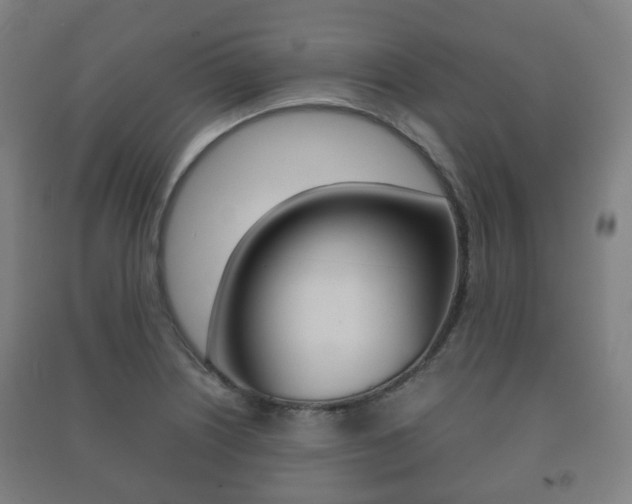 X0000091451226200708161040