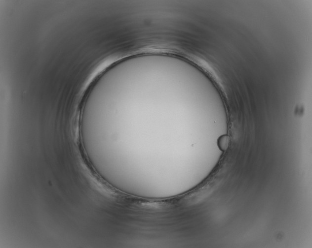 X0000091451227200708161040
