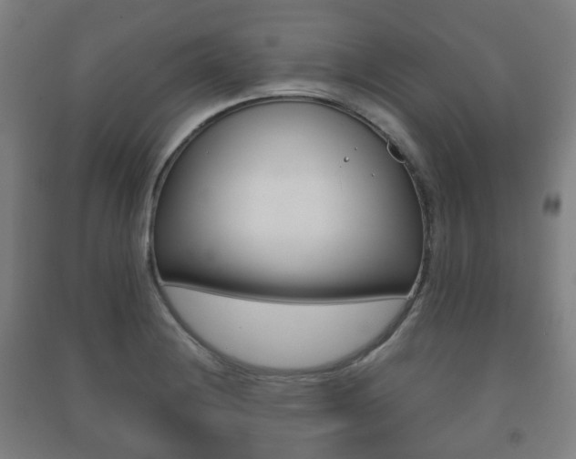 X0000091451228200708161040