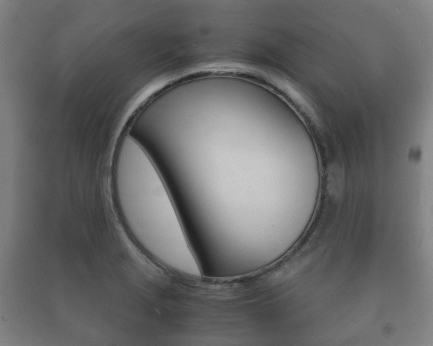 X0000091451229200708161040