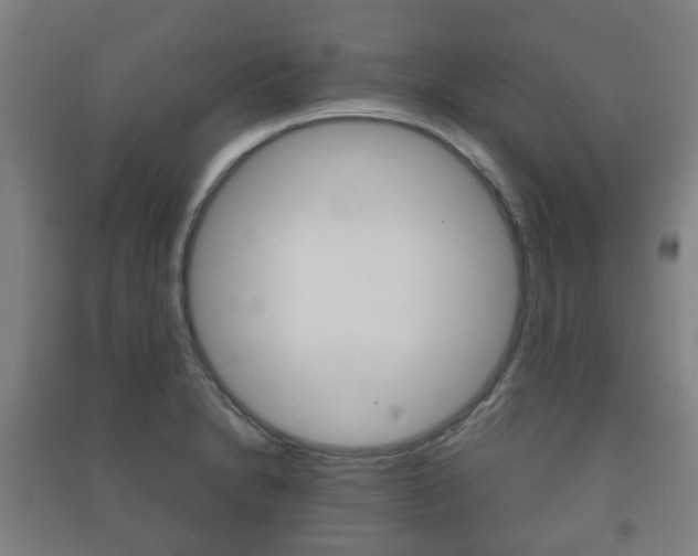 X0000091451230200708161040