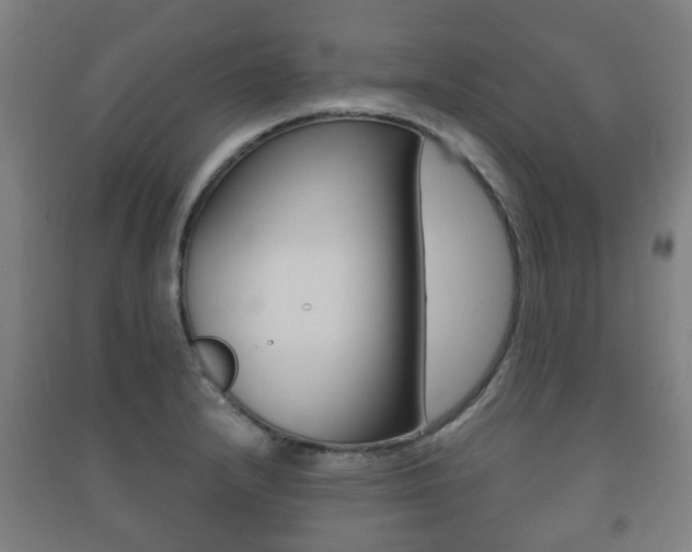X0000091451232200708161040