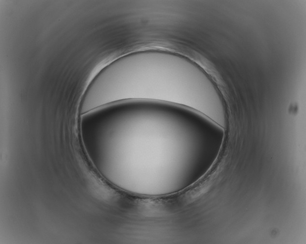 X0000091451234200708161040