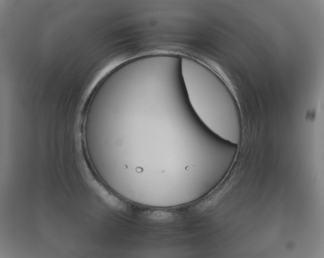 X0000091451235200708161040