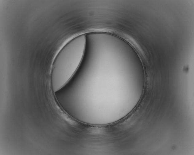 X0000091451236200708161041