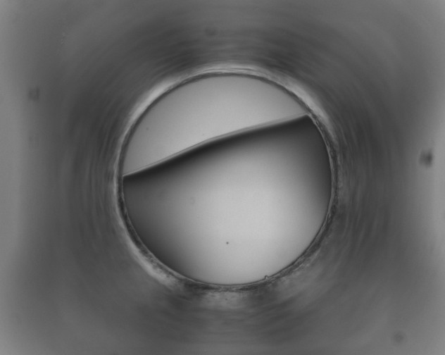 X0000091451237200708161041