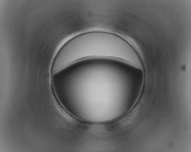 X0000091451238200708161041