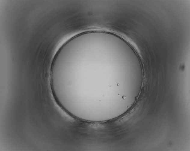 X0000091451239200708161041