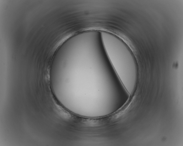X0000091451241200708161041
