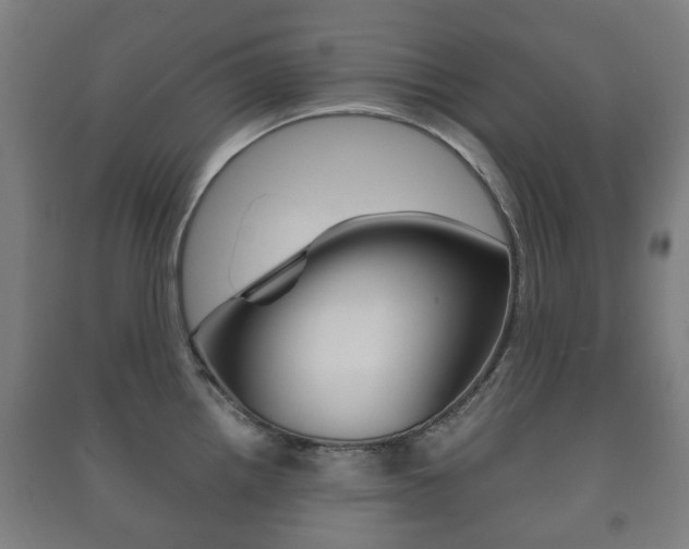 X0000091451242200708161041