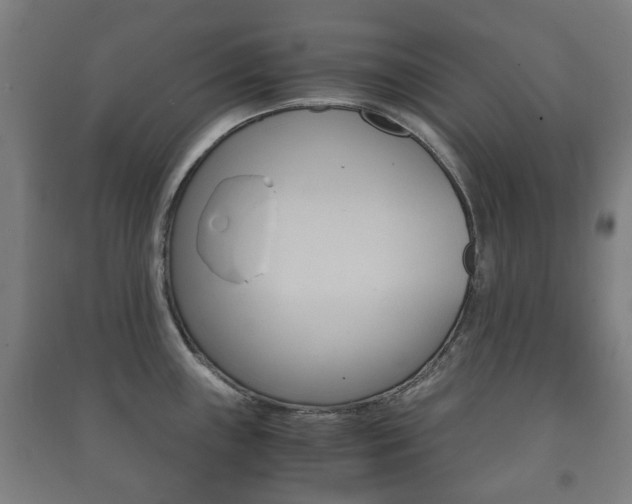 X0000091451243200708161041
