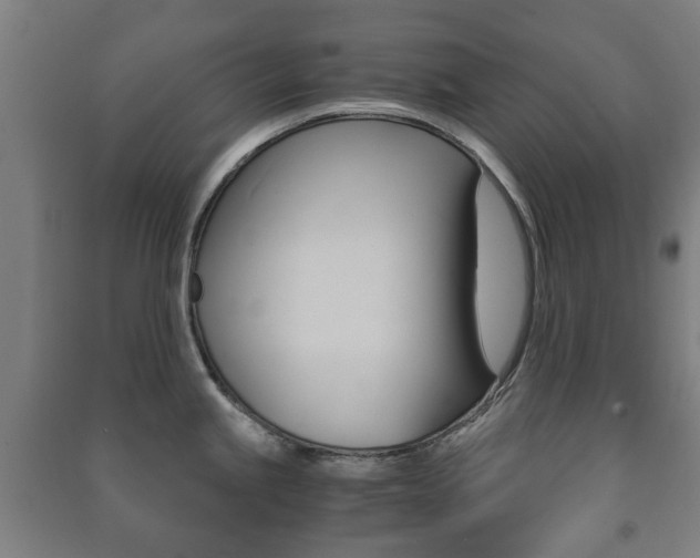 X0000091451245200708161041