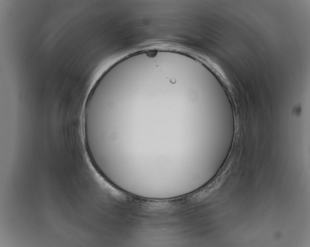 X0000091451247200708161041