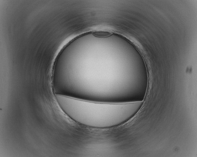 X0000091451248200708161041