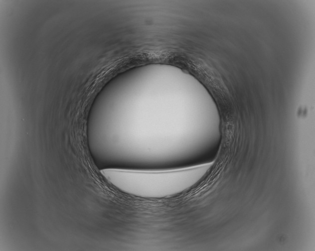X0000091451249200708161040