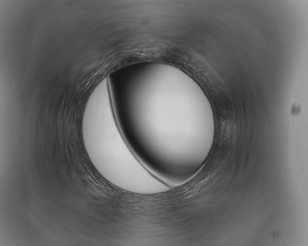 X0000091451250200708161040
