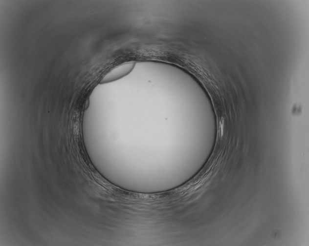 X0000091451251200708161040
