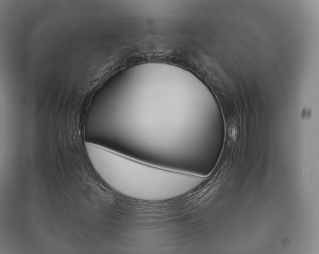 X0000091451252200708161040
