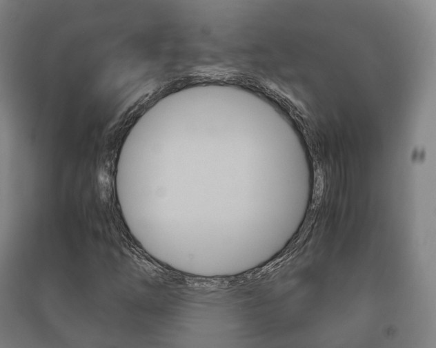 X0000091451254200708161040