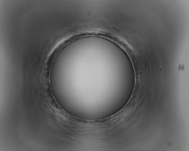 X0000091451256200708161040