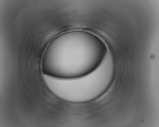 X0000091451257200708161040