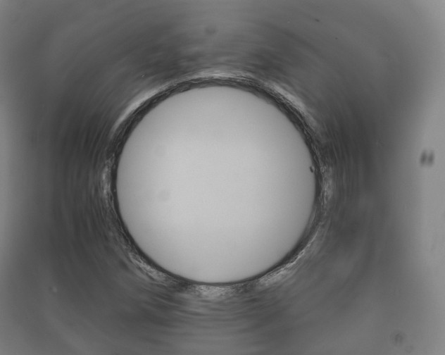 X0000091451258200708161040