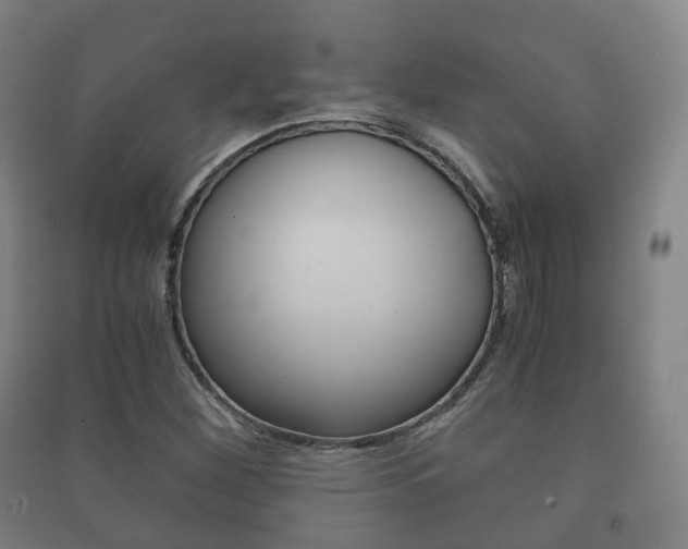 X0000091451260200708161040