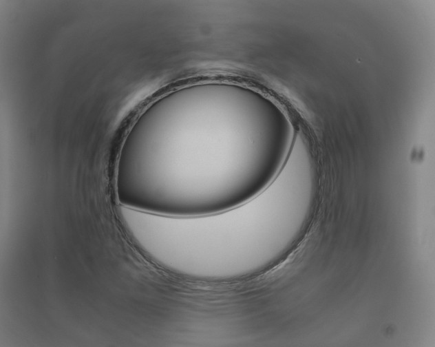 X0000091451261200708161040