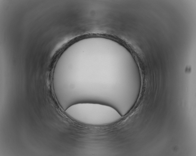 X0000091451262200708161040