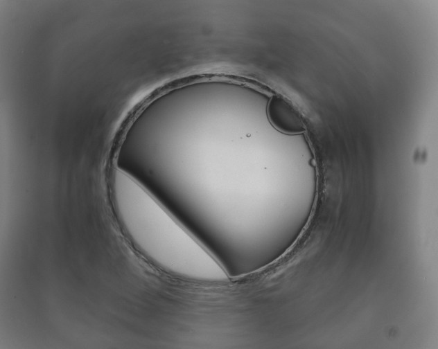 X0000091451264200708161040
