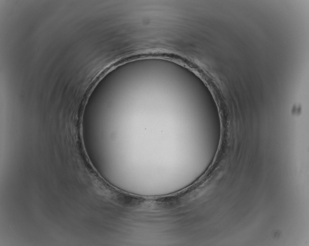 X0000091451265200708161040