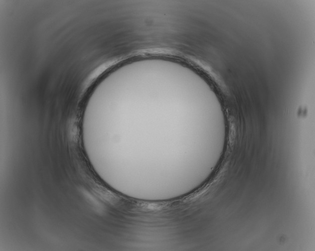 X0000091451266200708161040