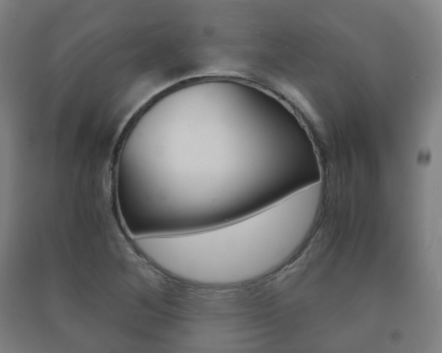 X0000091451268200708161040