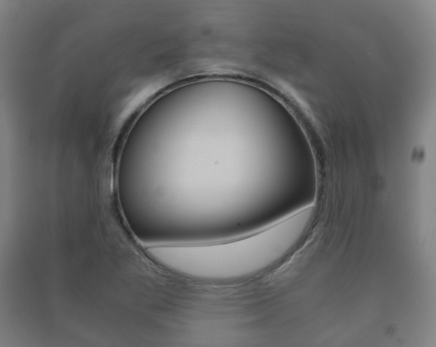 X0000091451269200708161040