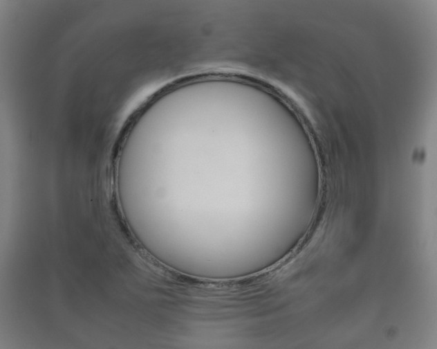 X0000091451271200708161040