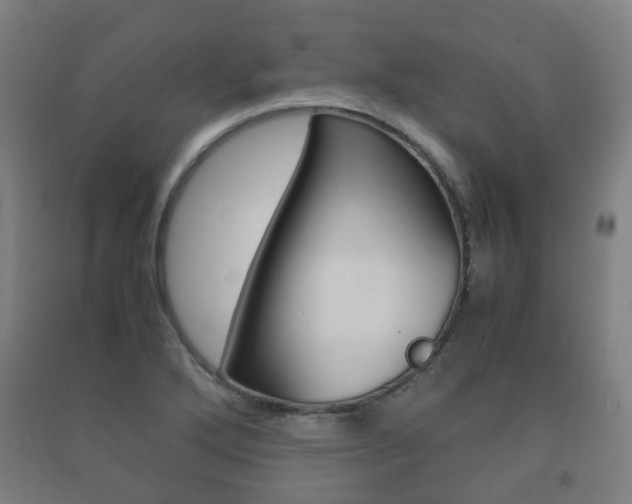 X0000091451272200708161040