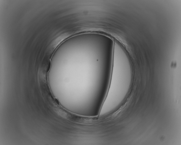 X0000091451273200708161040