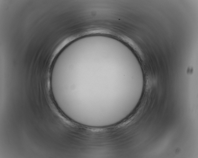 X0000091451274200708161040