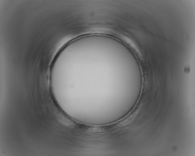 X0000091451275200708161040