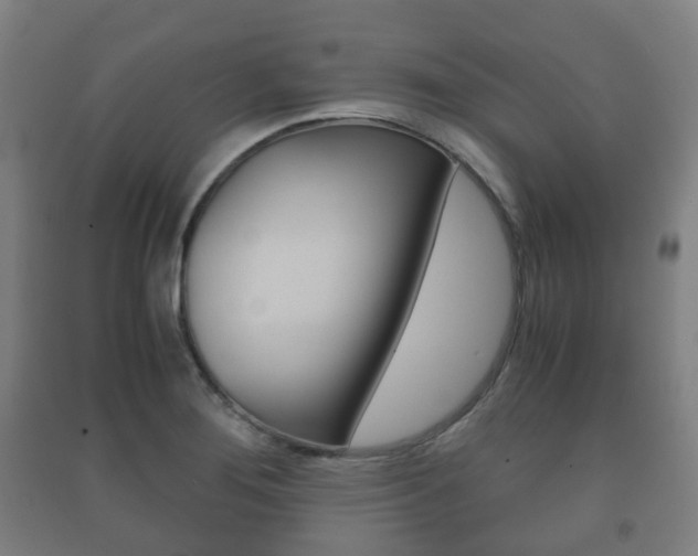 X0000091451276200708161039