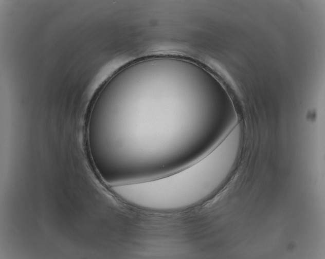 X0000091451277200708161039
