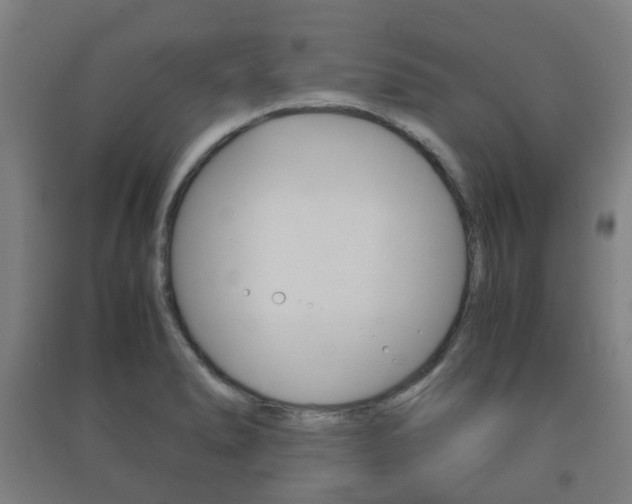 X0000091451278200708161039