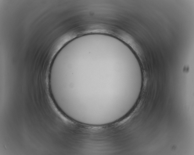 X0000091451282200708161039