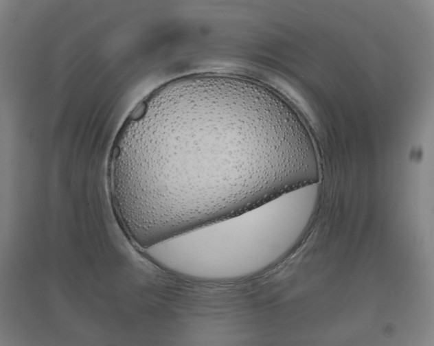 X0000091451283200708161039