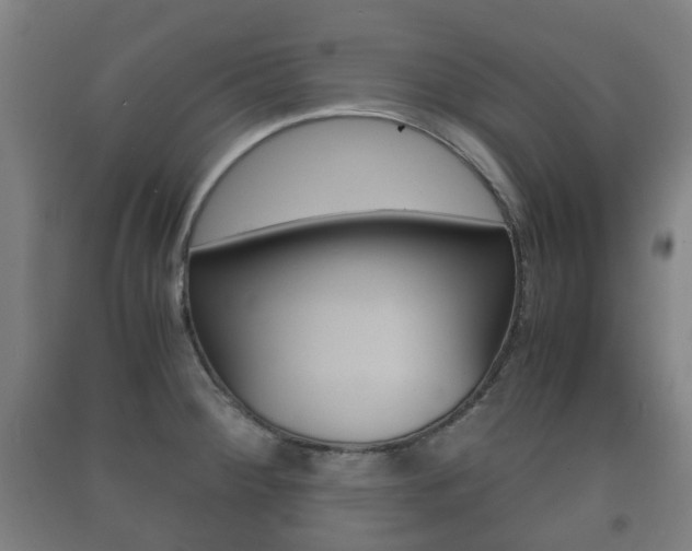 X0000091451284200708161039