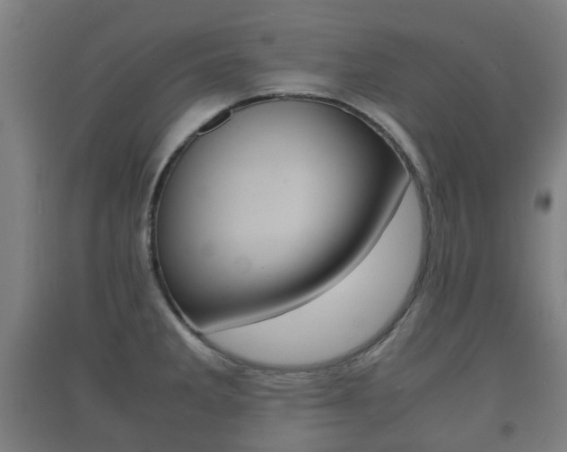 X0000091451285200708161039