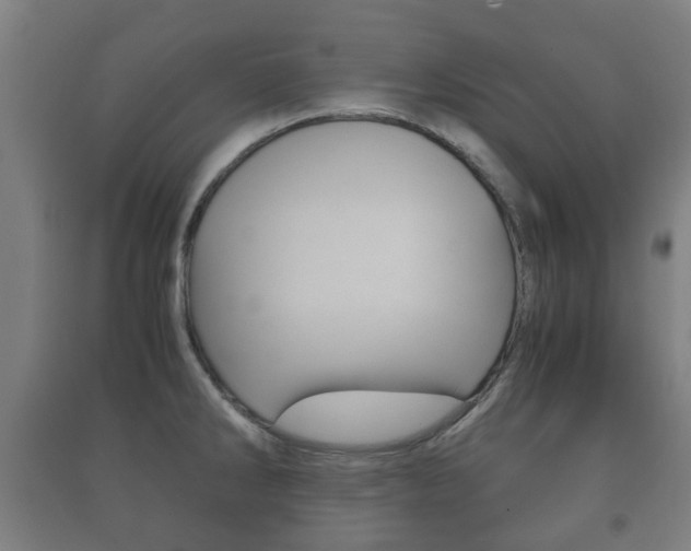 X0000091451286200708161039