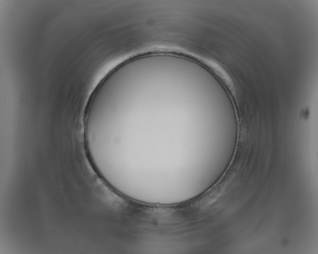 X0000091451287200708161039